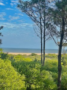 Venta Terreno 1.041m2 Chihuahua Vista al Mar pronto para construir 