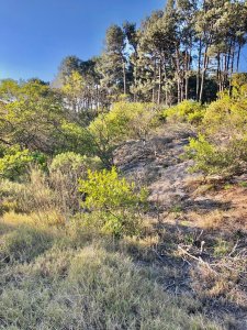 Venta Terreno de 1000mt zona Chihuahua pronto para construir