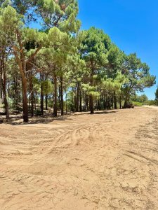 CHIHUAHUA TERRENOS 1.000mt CON TITULOS!!! PONTO PARA CONSTRUIR!