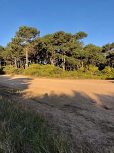 Venta Terreno esquinero 1000mt zona Chihuahua pronto para construir