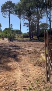 2 LOTES JUNTOS ZONA SAUCE DE PORTEZUELO
