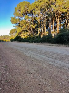 Venta Terreno 1000mt zona Chihuahua pronto para construir