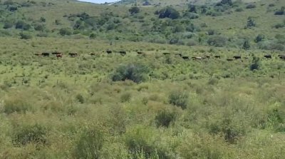 Venta de chacra a 50 km de Maldonado 