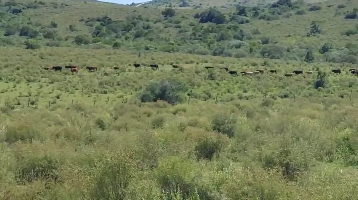 Venta de chacra a 50 km de Maldonado 
