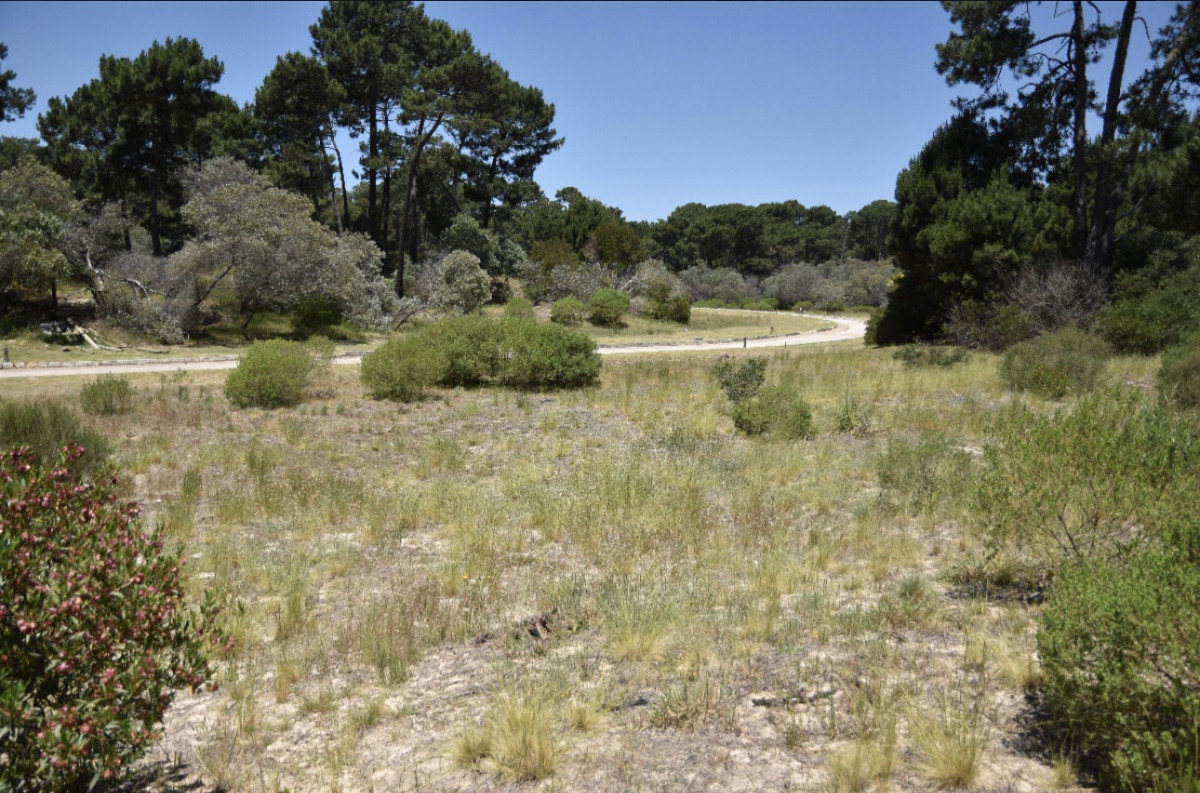 Venta de lote de 1805 m2 en Barrio Cerrado, Acres de Solanas