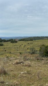 Chacra en venta maldonado 