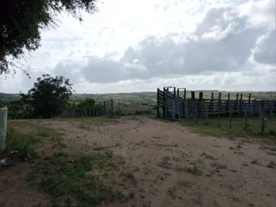 Campo Rincón de José Ignacio