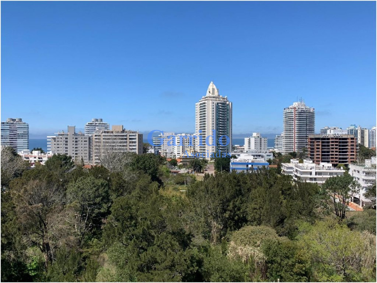 Aidy Grill - GoPunta - Portal Inmobiliario de Punta del Este - Maldonado