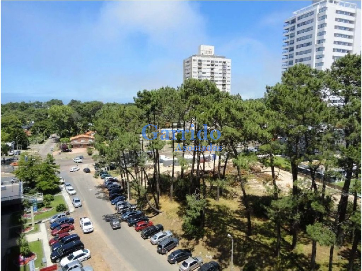 Roosevelt - GoPunta - Portal Inmobiliario de Punta del Este - Maldonado