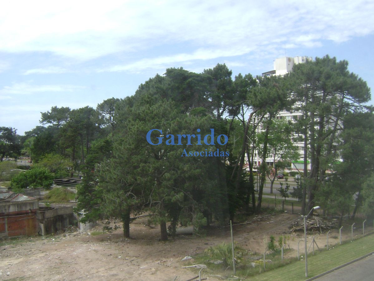 Roosevelt - GoPunta - Portal Inmobiliario de Punta del Este - Maldonado