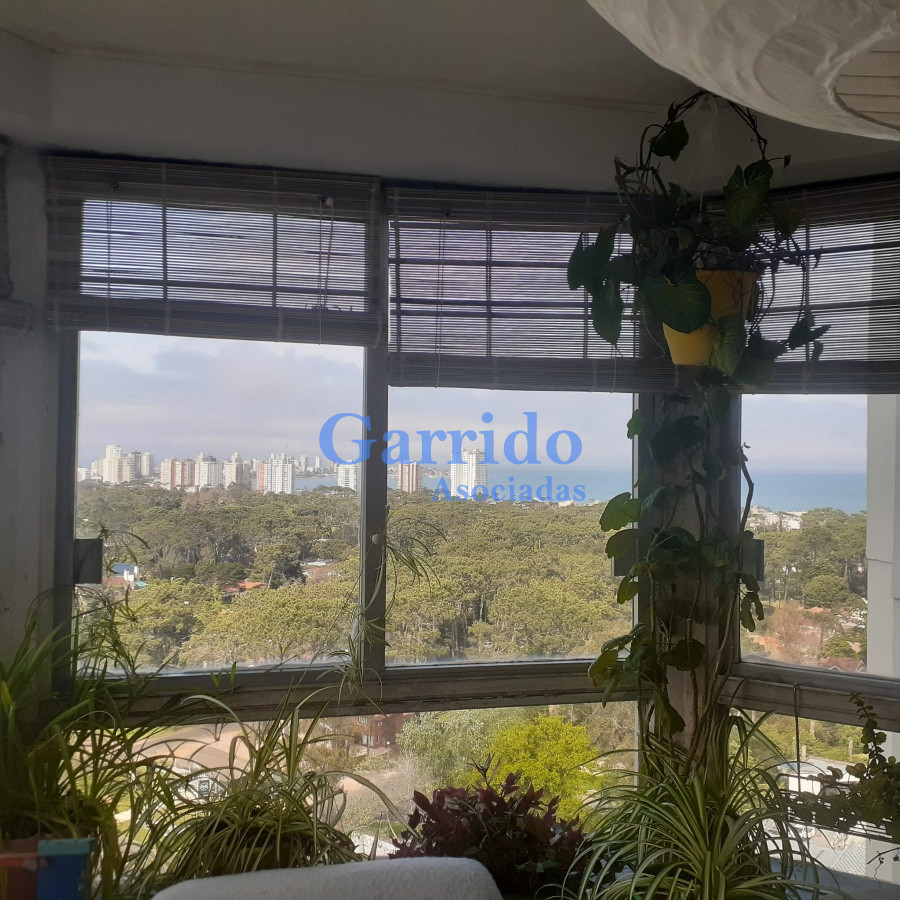 Roosevelt - GoPunta - Portal Inmobiliario de Punta del Este - Maldonado