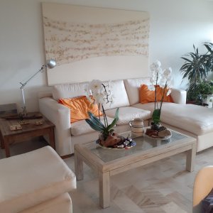 Vendo Hermosa planta