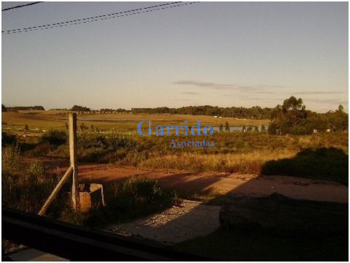 Balneario Buenos Aires - GoPunta - Portal Inmobiliario de Punta del Este - Maldonado