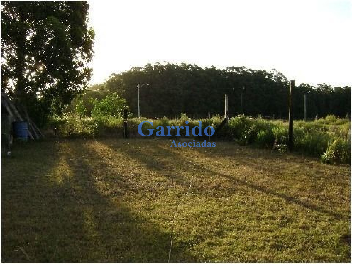 Balneario Buenos Aires - GoPunta - Portal Inmobiliario de Punta del Este - Maldonado