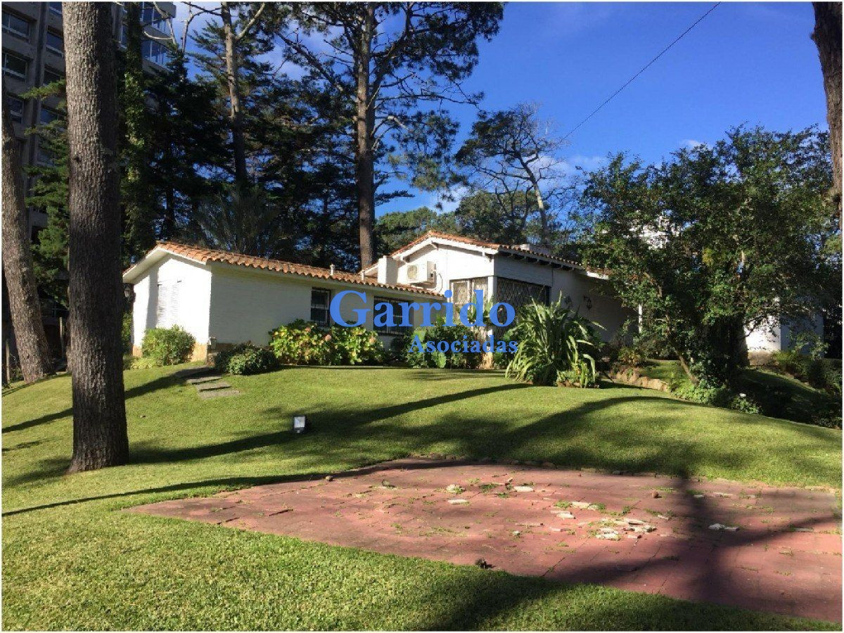 Peninsula - GoPunta - Portal Inmobiliario de Punta del Este - Maldonado