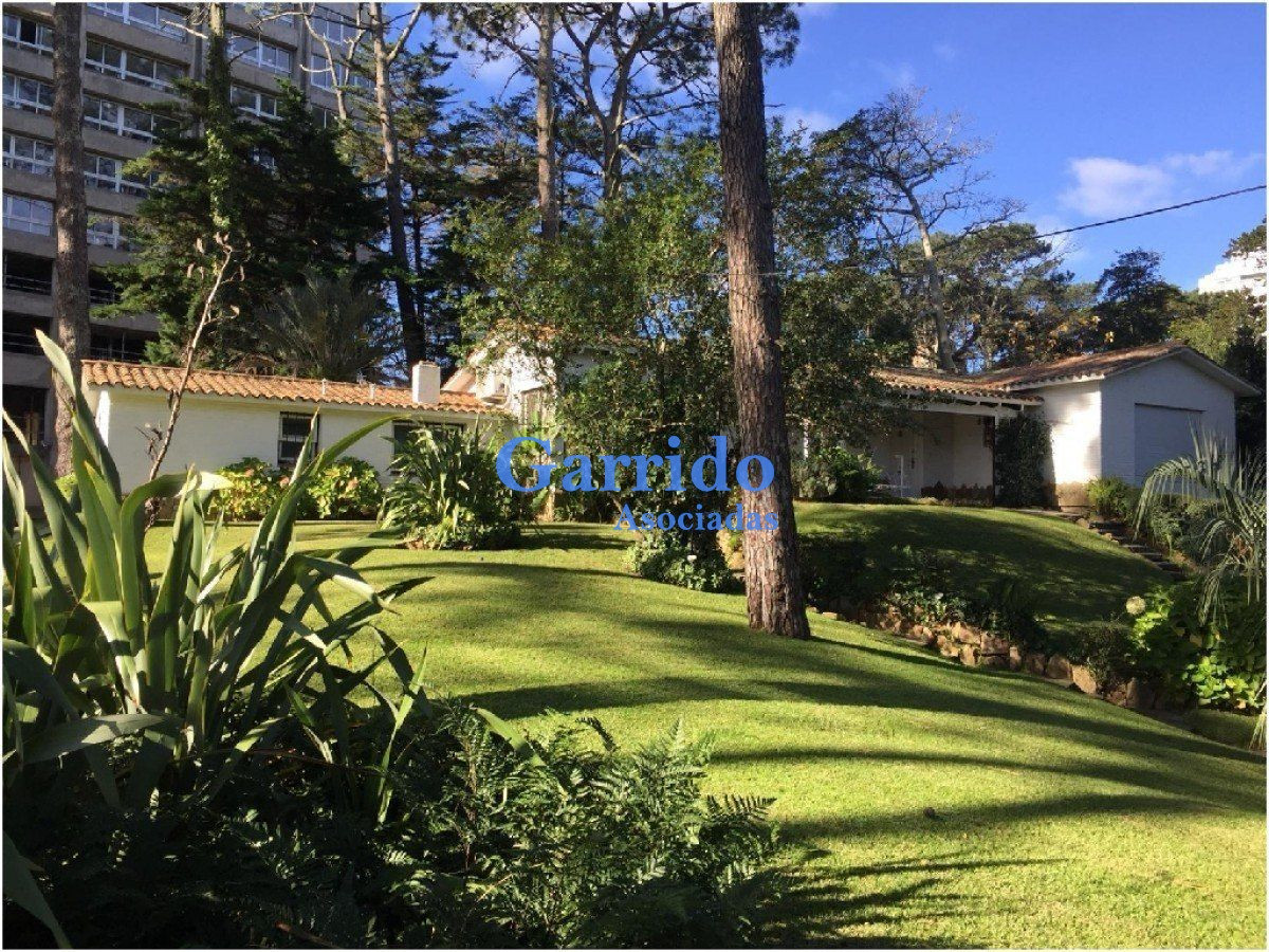Peninsula - GoPunta - Portal Inmobiliario de Punta del Este - Maldonado