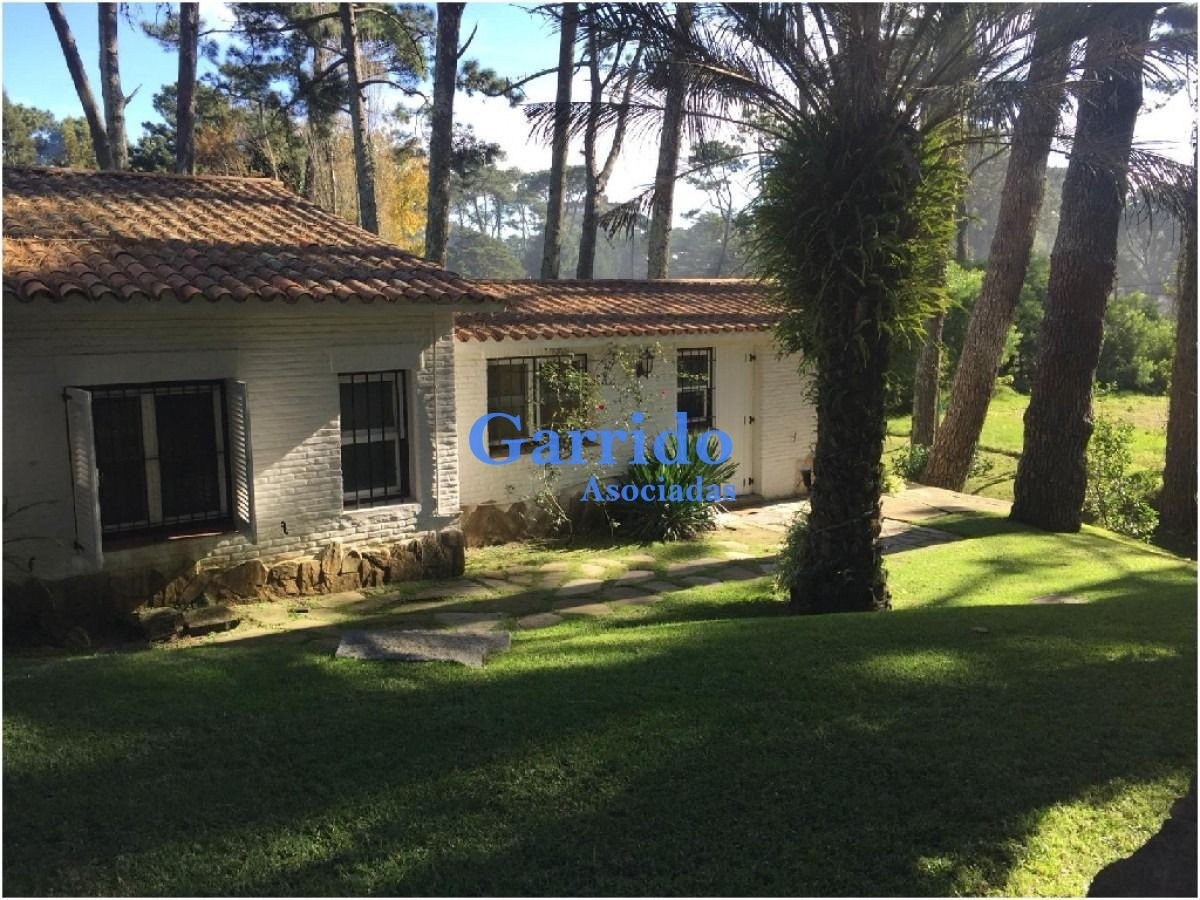 Peninsula - GoPunta - Portal Inmobiliario de Punta del Este - Maldonado