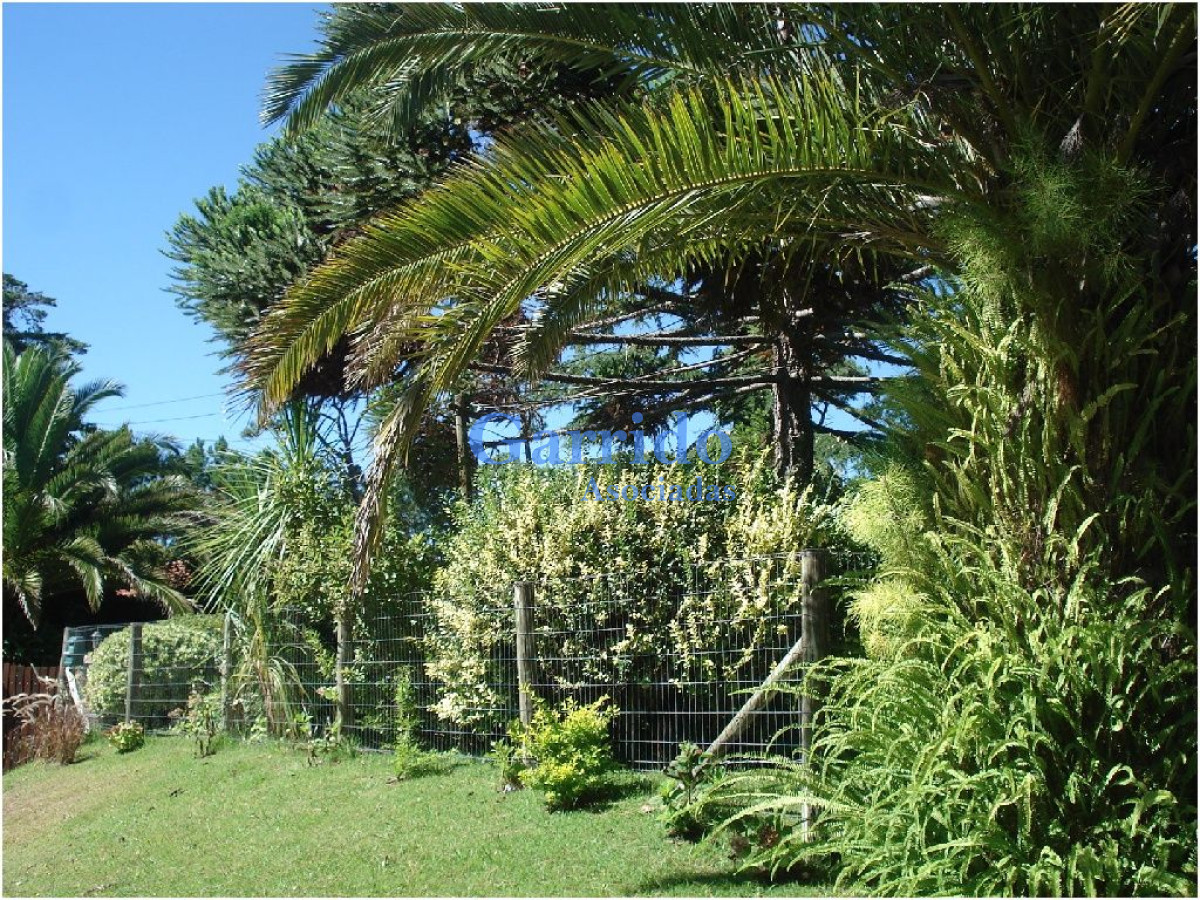 Cantegril - GoPunta - Portal Inmobiliario de Punta del Este - Maldonado