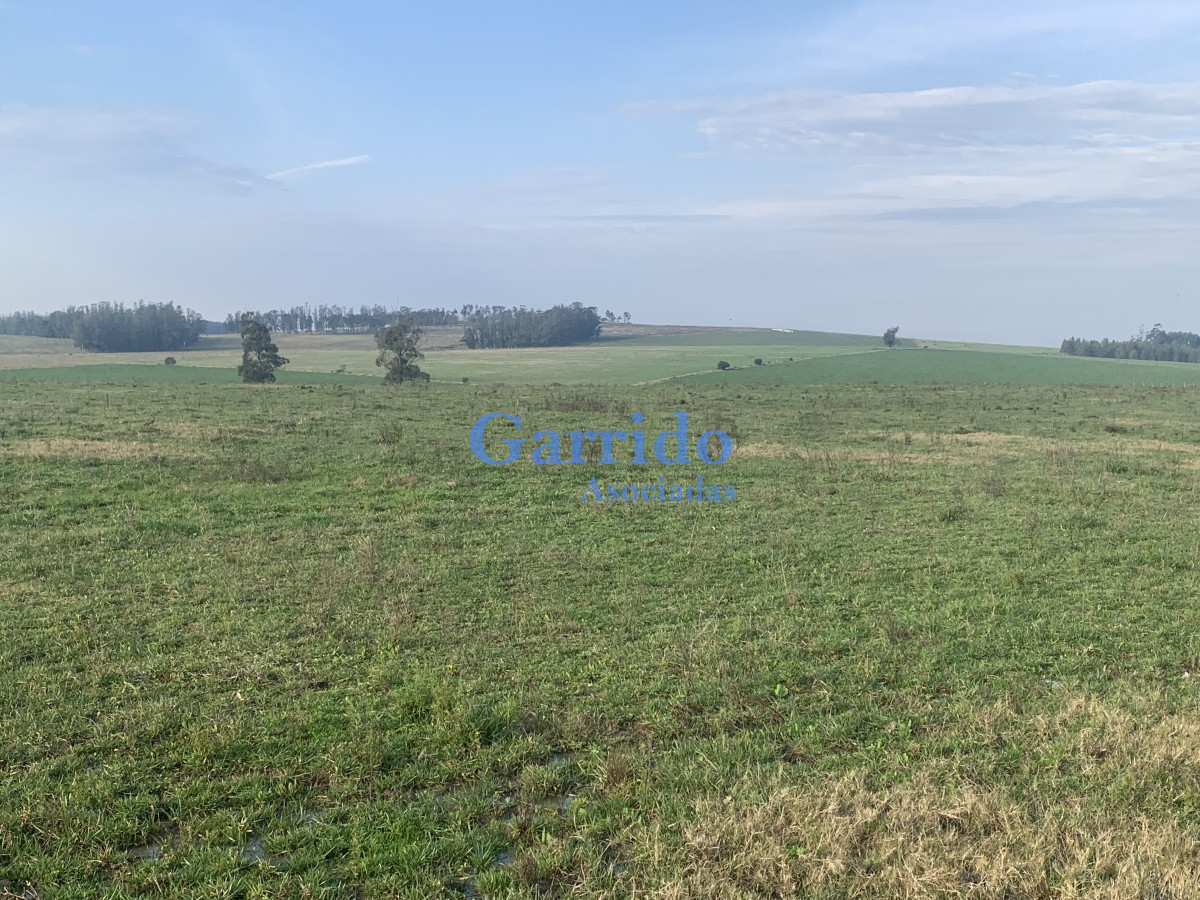 Ruta 104 - GoPunta - Portal Inmobiliario de Punta del Este - Maldonado