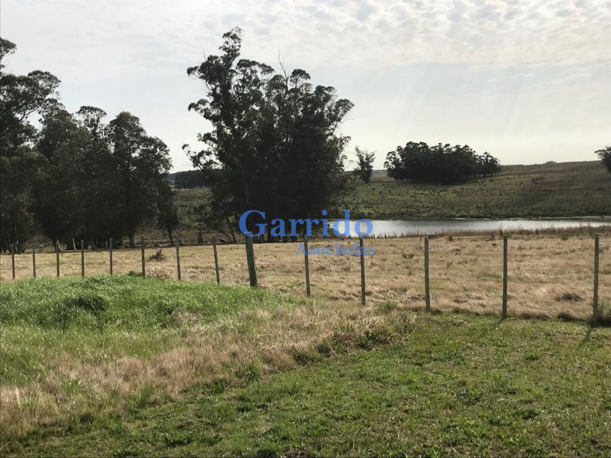 Zona Rural - GoPunta - Portal Inmobiliario de Punta del Este - Maldonado