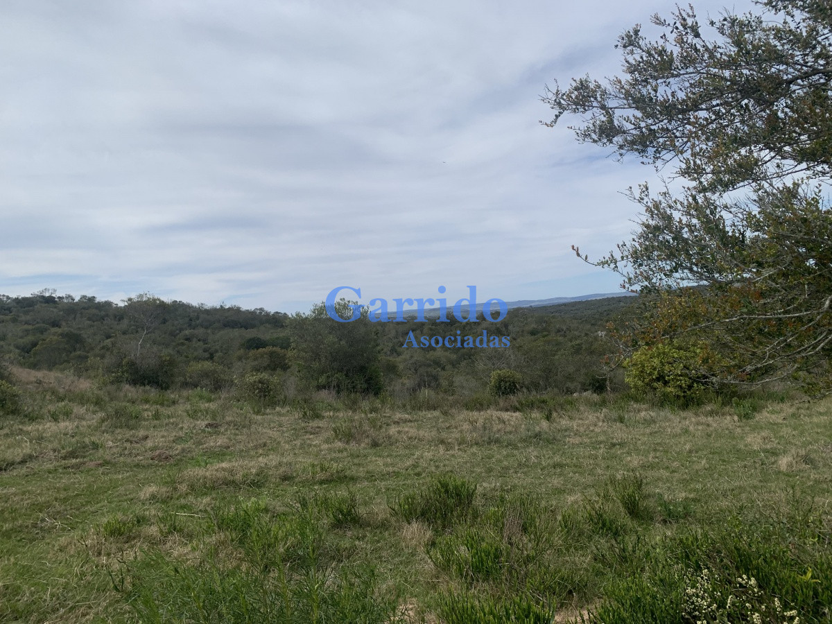 Zona Rural - GoPunta - Portal Inmobiliario de Punta del Este - Maldonado