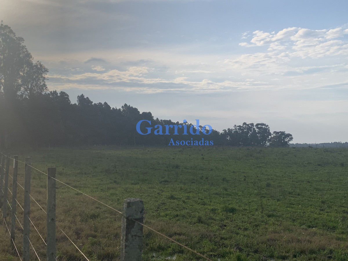 Ruta 104 - GoPunta - Portal Inmobiliario de Punta del Este - Maldonado