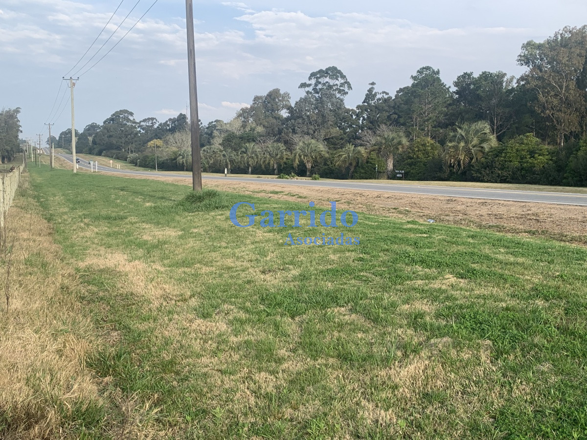 Ruta 104 - GoPunta - Portal Inmobiliario de Punta del Este - Maldonado