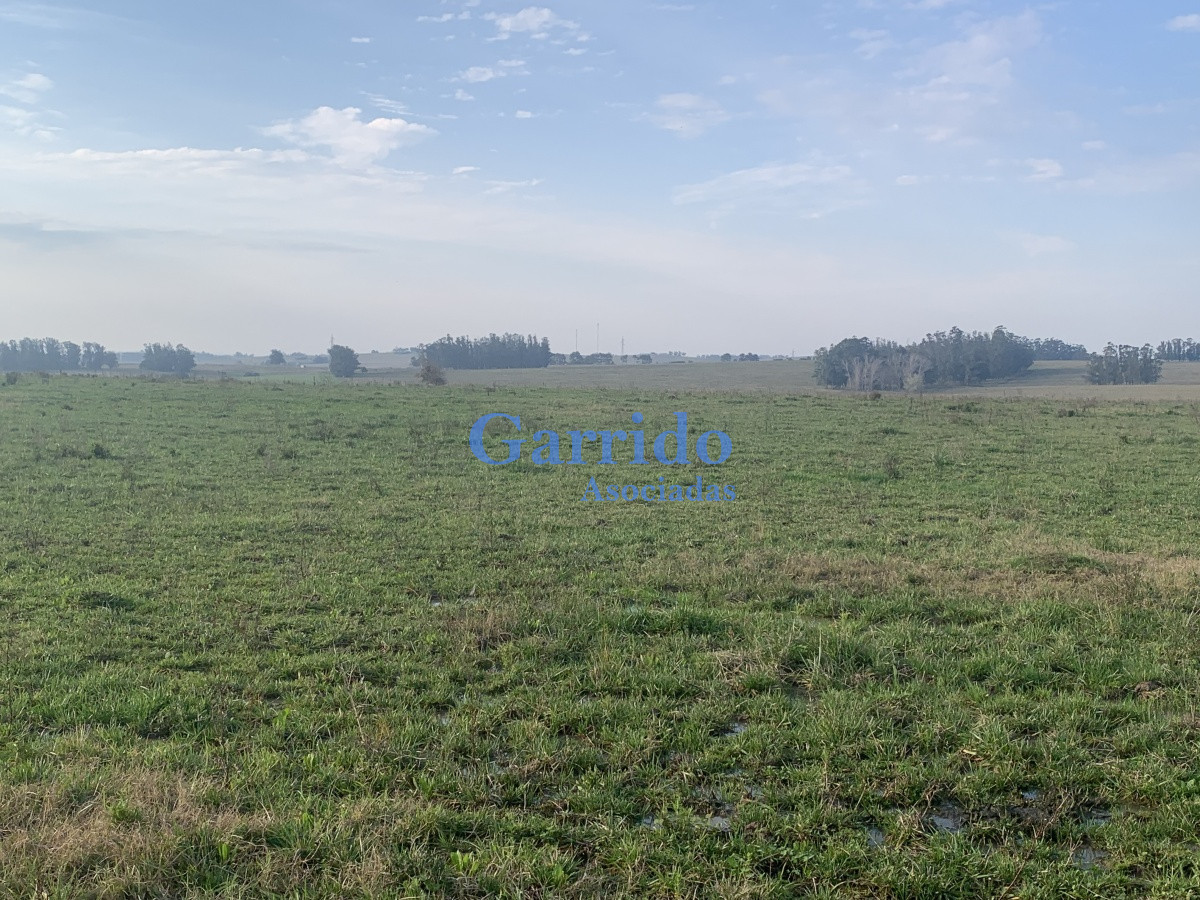 Ruta 104 - GoPunta - Portal Inmobiliario de Punta del Este - Maldonado