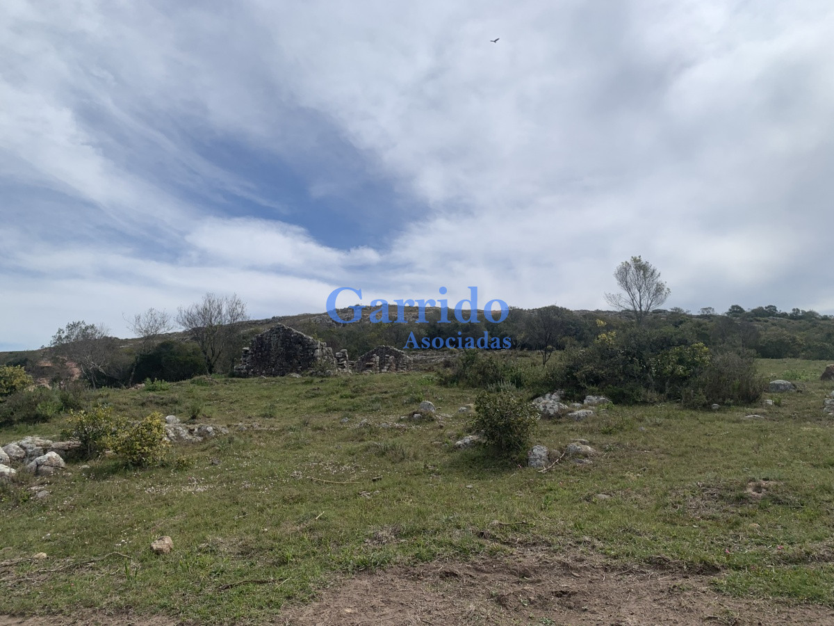 Zona Rural - GoPunta - Portal Inmobiliario de Punta del Este - Maldonado