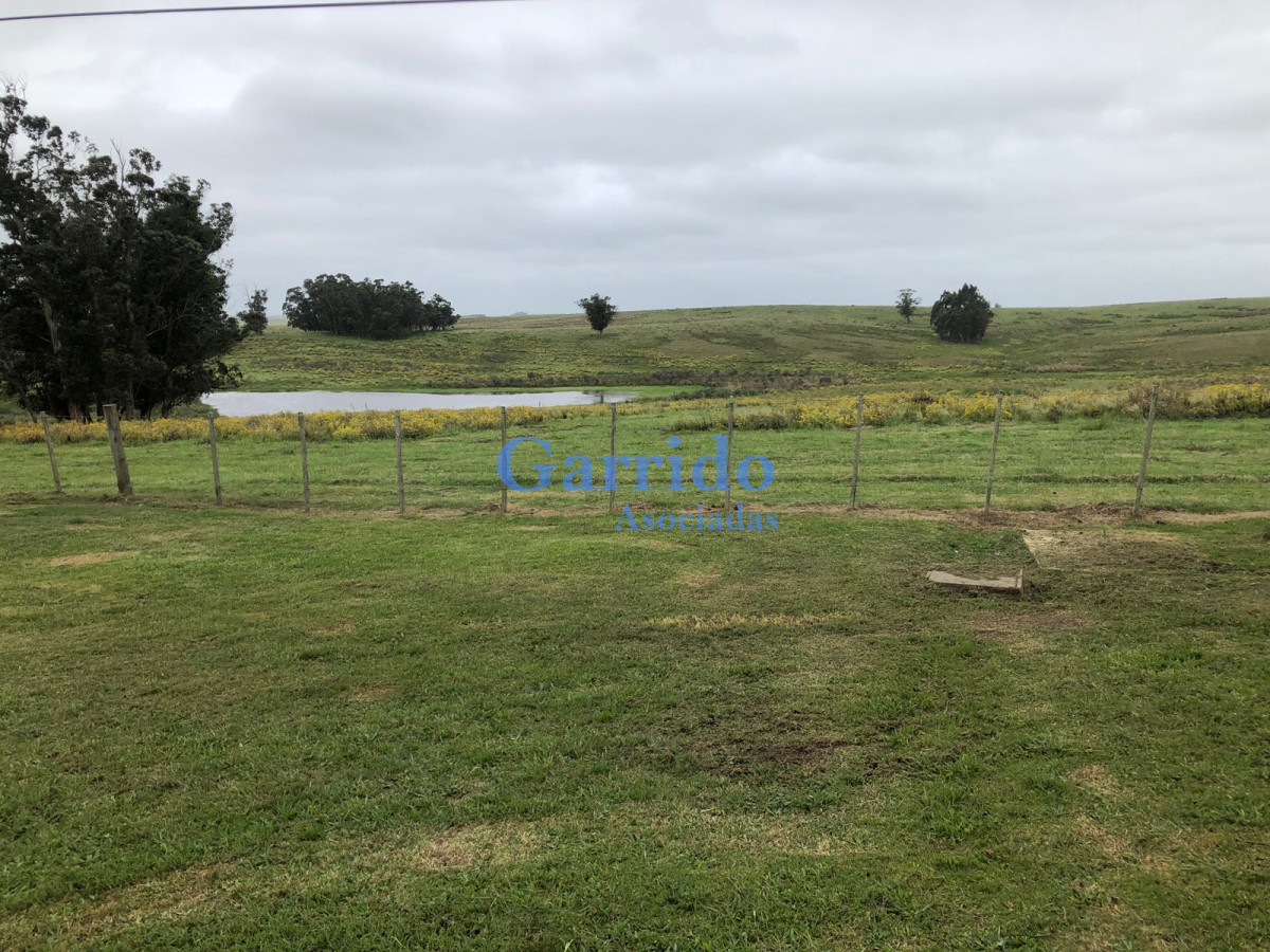 Zona Rural - GoPunta - Portal Inmobiliario de Punta del Este - Maldonado