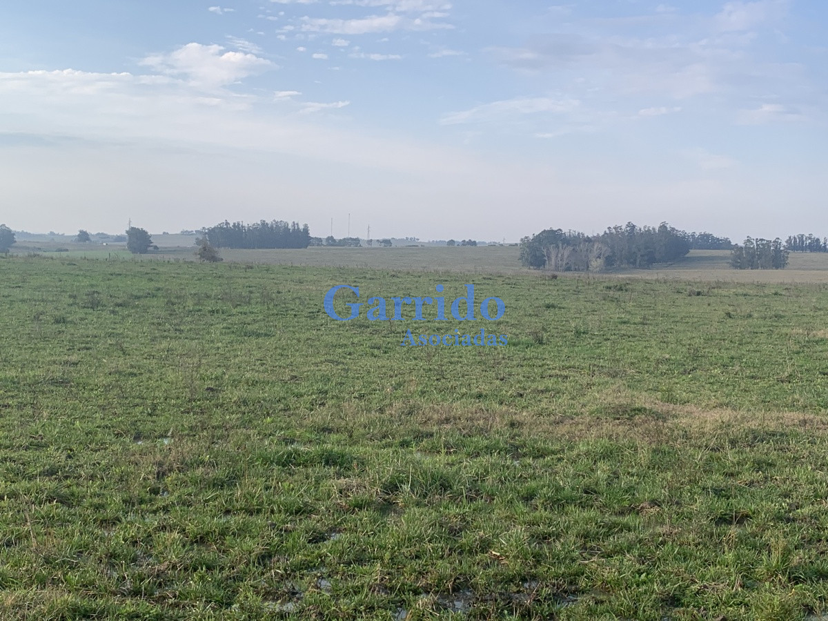 Ruta 104 - GoPunta - Portal Inmobiliario de Punta del Este - Maldonado