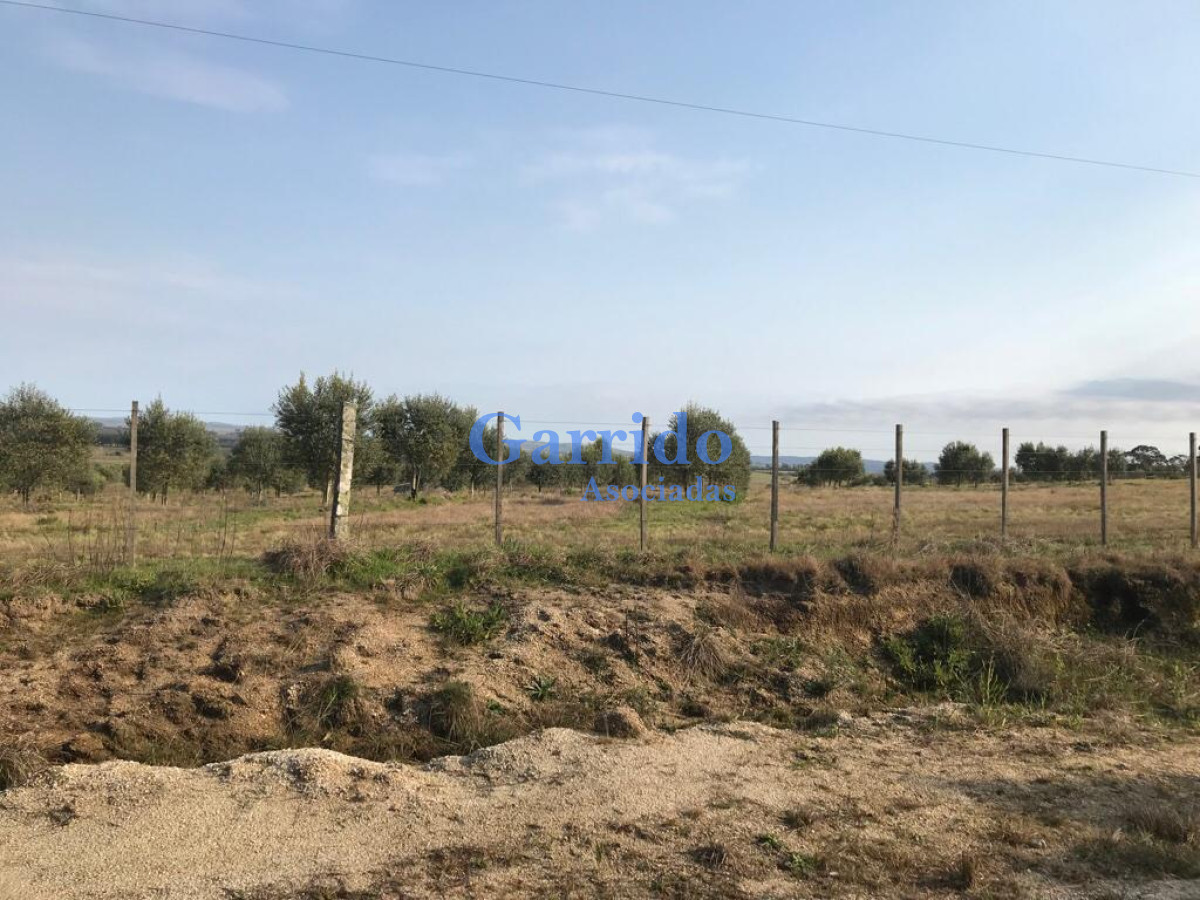 Zona Rural - GoPunta - Portal Inmobiliario de Punta del Este - Maldonado