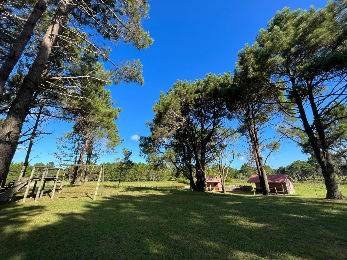 En Venta Chacra en Punta del Diablo
