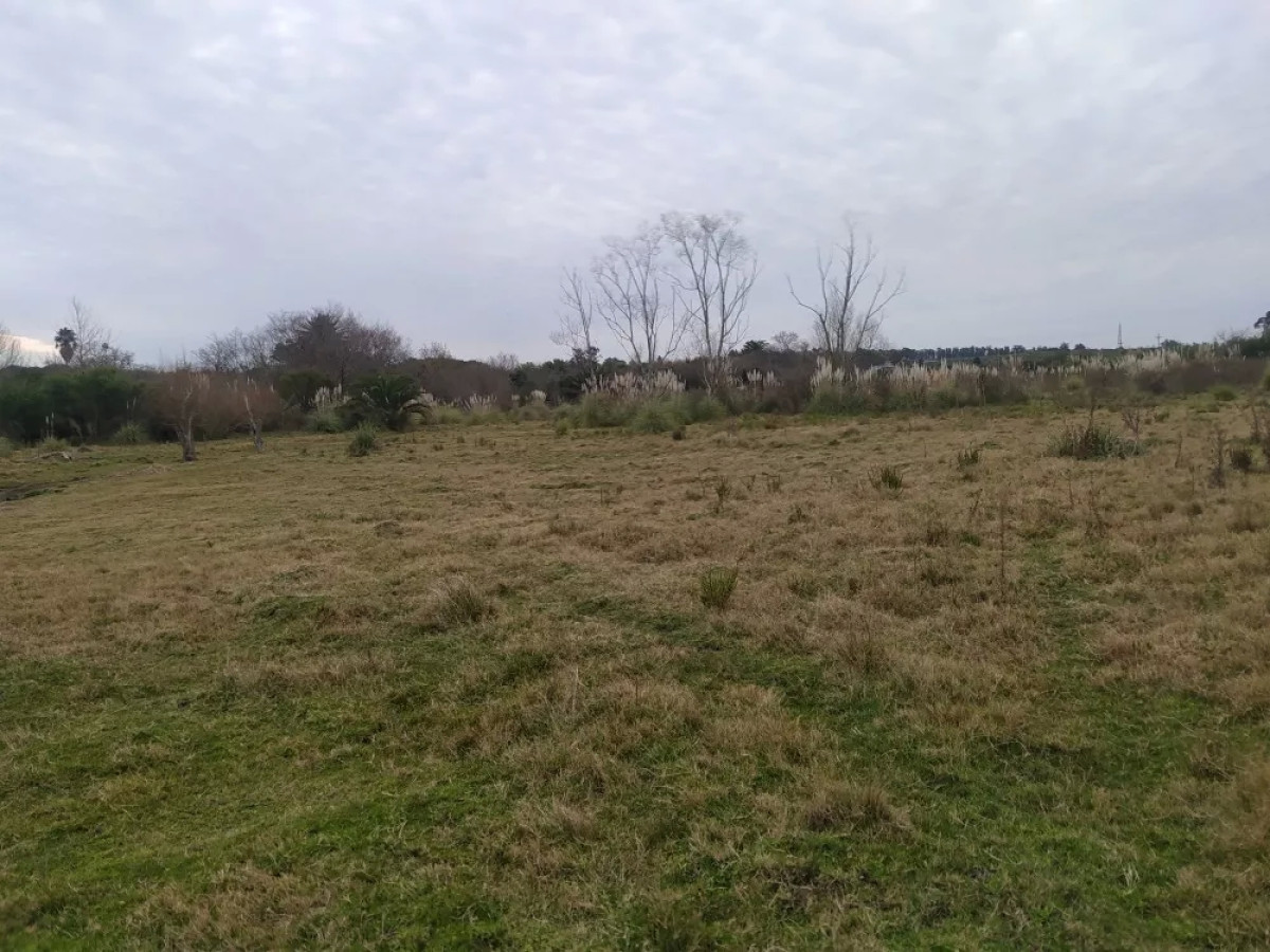 Venta de Chacra de 5 has en Pando 