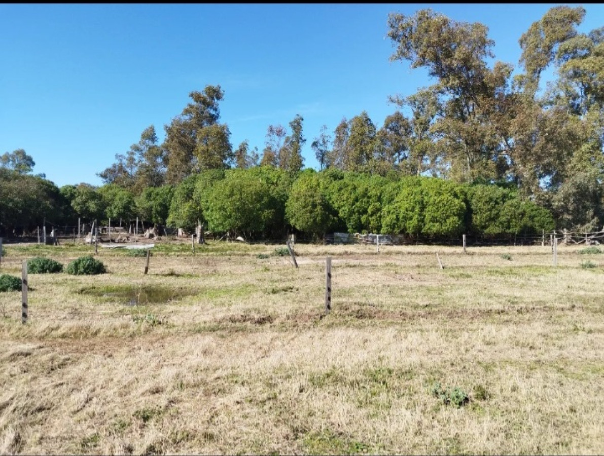 Venta de Chacra 5.9 Hectareas en Atlantida