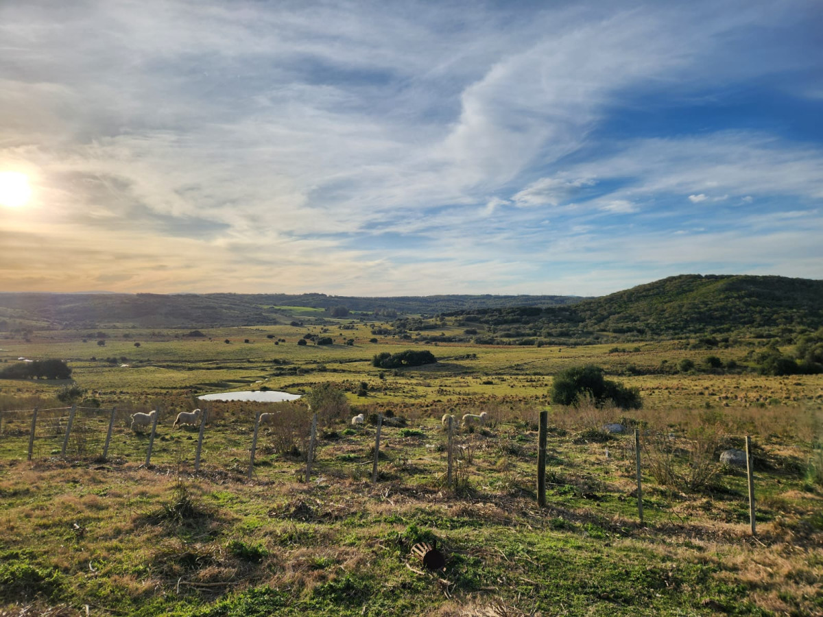 Chacra en Venta (36 hectáreas ), Garzón