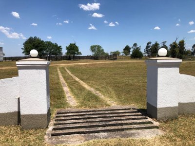 Campo 1150 Hectáreas 