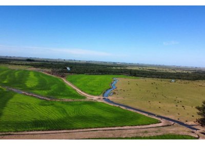 Campo 1200 Hectáreas 