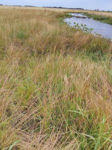 Oportunidad en Rocha! Campo de 25 hectáreas en venta. 