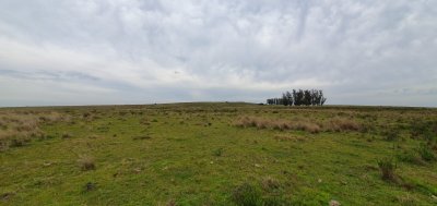Campo a kilometros de José Ignacio