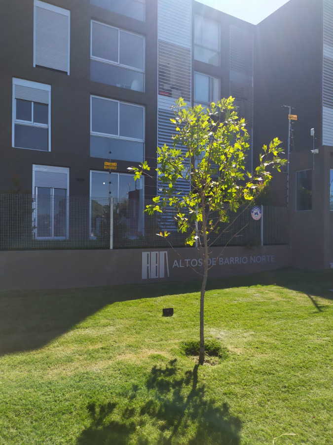 Altos de Barrio Norte