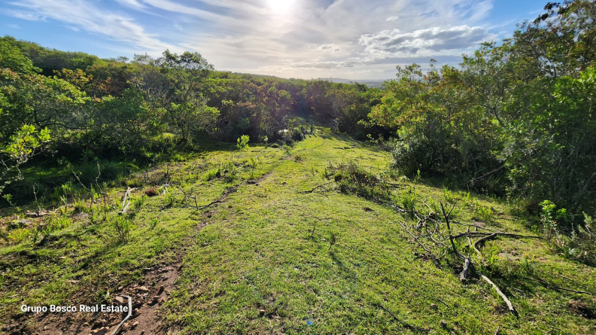 Chacra en Las Cañas, Punta del Este. terreno de 10 m²
