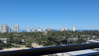 Alquiler anual, monoambiente, piso alto, vista al mar, Punta del Este