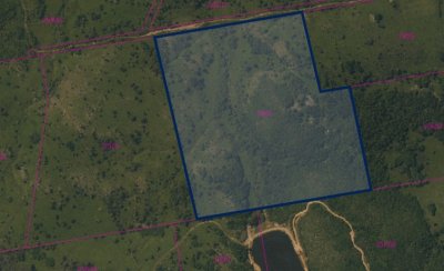 Venta campo con vistas a los cerros y monte nativo, Pueblo Eden, Maldonado