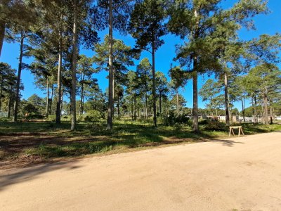 PUNTA BALLENA CNO. LUSSICH TERRENOS DE 2000 M2 EN VENTA