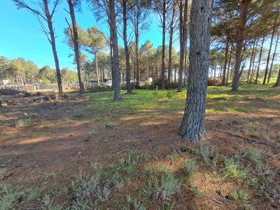 PUNTA BALLENA CNO LUSSICH TERRENOS DE 2000 M2 EN VENTA!!!