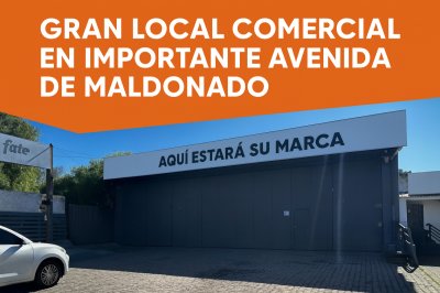 Local Comercial Sobre una de las avenidas más transitadas de Maldonado.