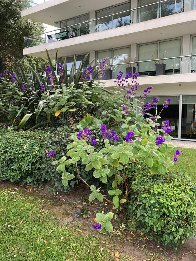 Alquilar Anual Apto 2D Roosevelt Punta con Amenities 