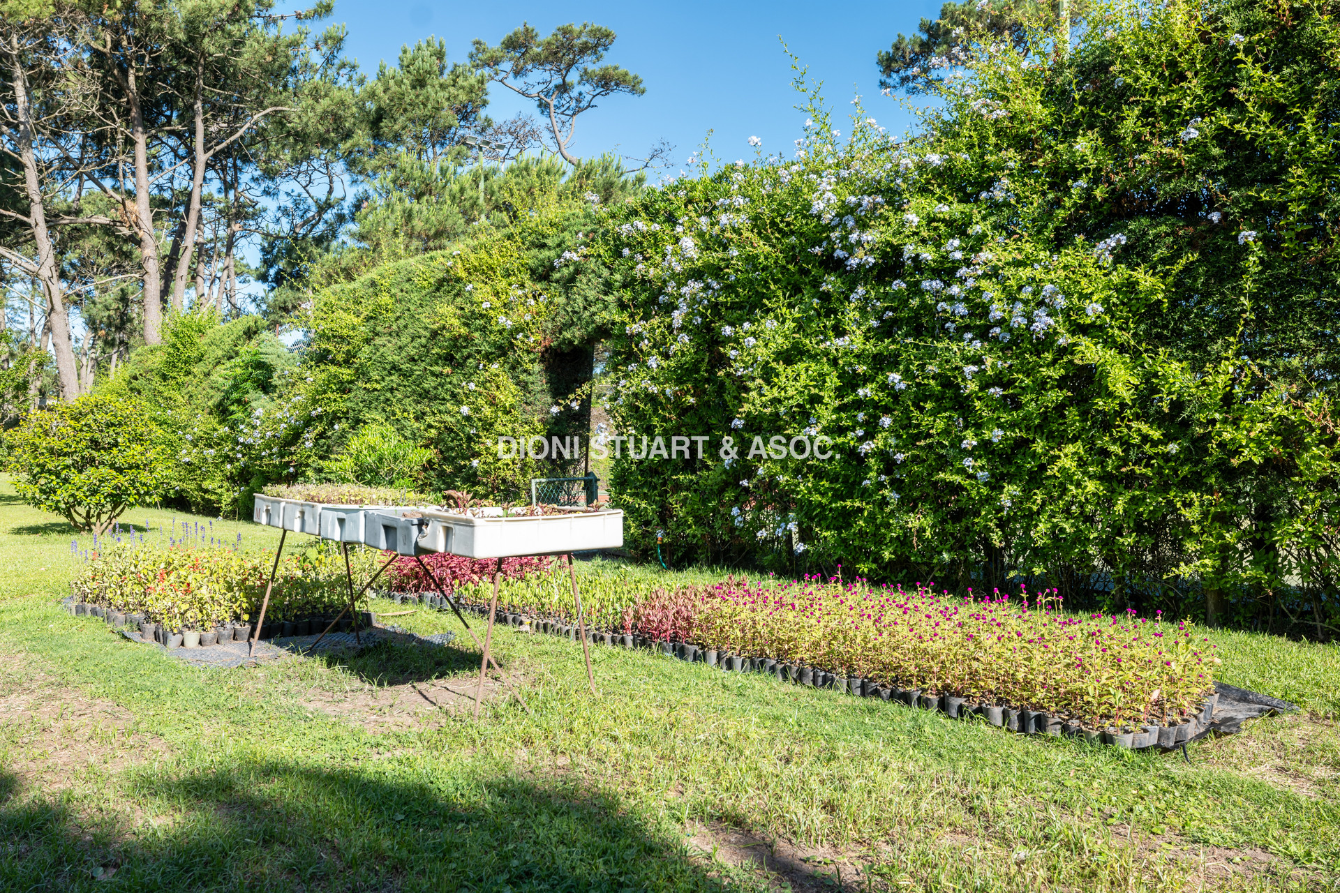 CASA EN VENTA EN PINARES - SUPER TERRENO Y MEGA CONSTRUCCIÓN