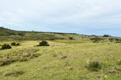 CAMPO EN SIERRAS DE CARAPE 25HAS